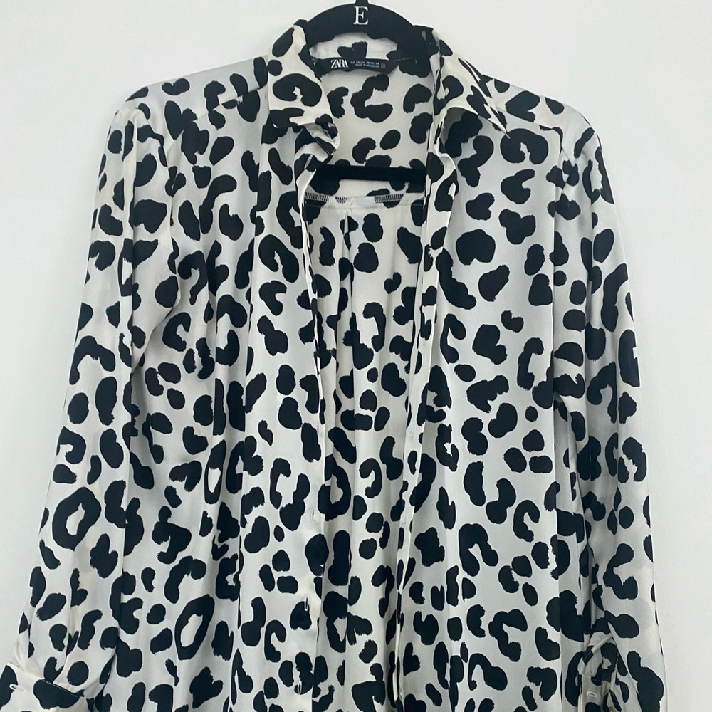 Zara Silk Button Down Shirt